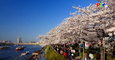 Bản tin quốc tế 11h45 ngày 2-11-2025