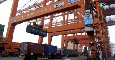 Bản tin quốc tế 11h45 ngày 20-01-2026