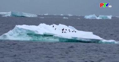 Bản tin quốc tế 11h45 ngày 22-01-2026