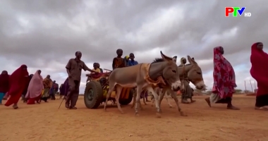 Bản tin quốc tế 11h45 ngày 9-3-2026