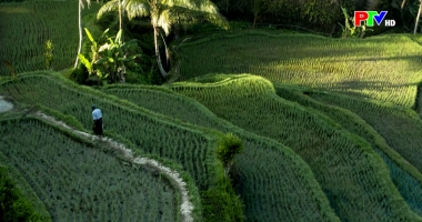 Bản tin quốc tế 18h45 ngày 07-3-2026