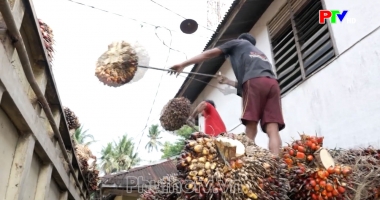 Bản tin quốc tế 18h45 ngày 15-08-2026