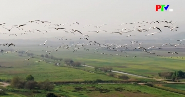 Bản tin quốc tế 18h45 ngày 16-3-2026