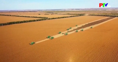 Bản tin quốc tế 18h45 ngày 2-1-2026