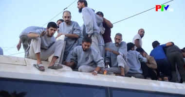 Bản tin quốc tế 18h45 ngày 20-01-2026