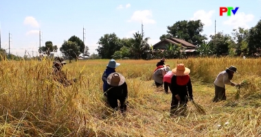 Bản tin quốc tế 18h45 ngày 29-4-2026