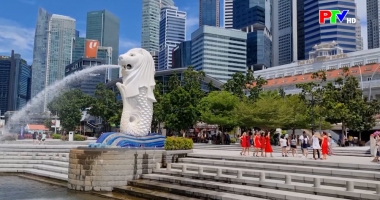 Bản tin quốc tế 18h45 ngày 9-11-2025