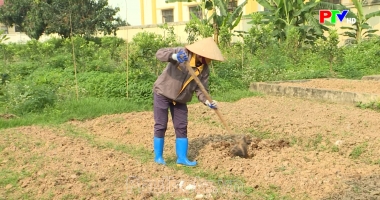 Thông tin nông nghiệp ngày 22-7-2025