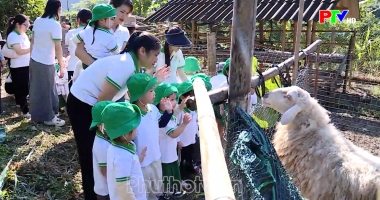 Bản tin tiếng Anh - Phu Tho News ngày 03-07-2026