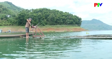 Bản tin tiếng Anh - Phu Tho News ngày 03-09-2026