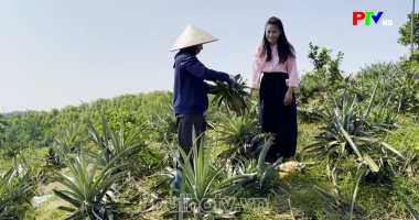 Bản tin tiếng Anh - Phu Tho News ngày 03-10-2026