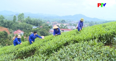 Bản tin tiếng Anh - Phu Tho News ngày 06-05-2026