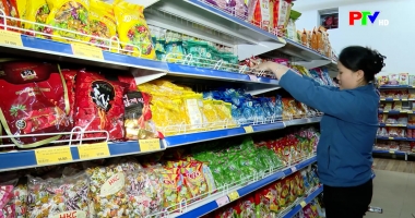 Bản tin tiếng Anh - Phu Tho News ngày 07-02-2026