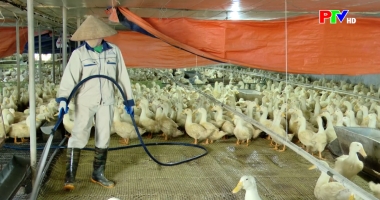 Bản tin tiếng Anh - Phu Tho News ngày 11-01-2026