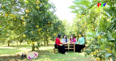 Bản tin tiếng Anh - Phu Tho News ngày 12-12-2025