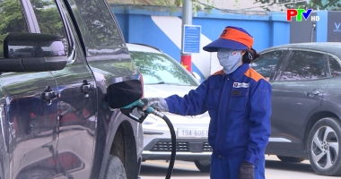 Bản tin tiếng Anh - Phu Tho News ngày 13-03-2026