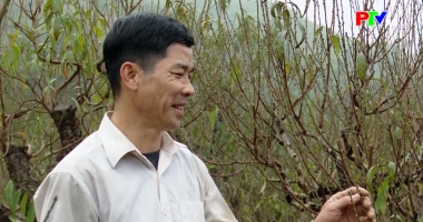 Bản tin tiếng Anh - Phu Tho News ngày 14-1-2026