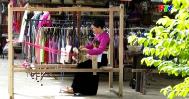 Bản tin tiếng Anh - Phu Tho News ngày 15-1-2026