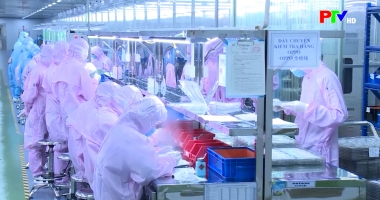 Bản tin tiếng Anh - Phu Tho News ngày 17-05-2026