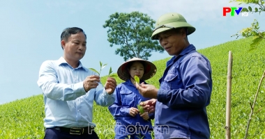 Bản tin tiếng Anh - Phu Tho News ngày 18-06-2026
