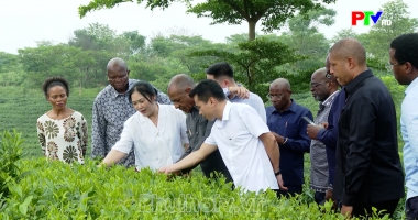 Bản tin tiếng Anh - Phu Tho News ngày 20-06-2026