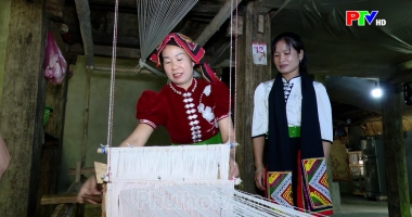 Bản tin tiếng Anh - Phu Tho News ngày 21-10-2026