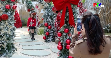 Bản tin tiếng Anh - Phu Tho News ngày 25-12-2025