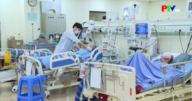 Bản tin tiếng Anh - Phu Tho News ngày 26-02-2026