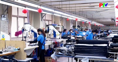 Bản tin tiếng Anh - Phu Tho News ngày 30-01-2026