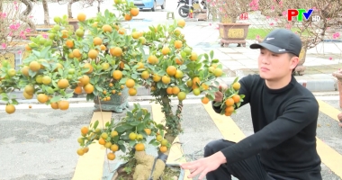 Bản tin tiếng Anh - Phu Tho News ngày 31-01-2026