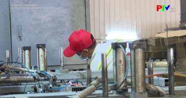 Bảo đảm an toàn vệ sinh lao động tại doanh nghiệp