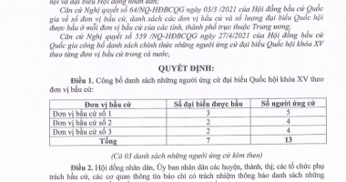 Danh sách những người ứng cử đại biểu Quốc hội khóa XV theo đơn vị bầu cử