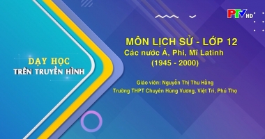 Môn Lịch sử lớp 12: Các nước Á, Phi, Mĩ Latinh (1945-2000)