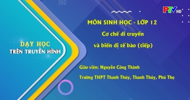 Dạy học trên truyền hình - Môn Sinh học lớp 12 : Cơ chế di truyền và biến dị tế bào (Phần 2)