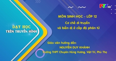 Môn Sinh học lớp 12 : Cơ chế di truyền và biến dị cấp độ phân tử