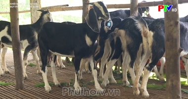 Bứt phá để thành công