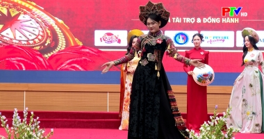 Ca nhạc - Hướng về nguồn cội