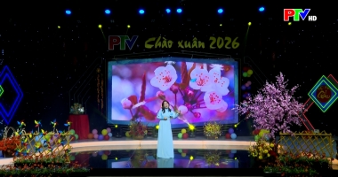 Ca nhạc - Mùa xuân về