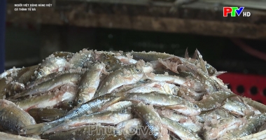 Cá thính Tử Đà