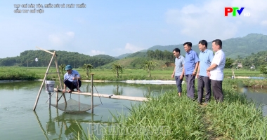 Cầm tay chỉ việc