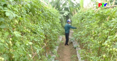 Canh tác nông nghiệp bền vững