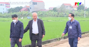 Cấp giấy quyền sử dụng đất nông nghiệp sau dồn đổi