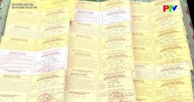 Câu chuyện cuối tuần - Cho đi không cần ghi tên