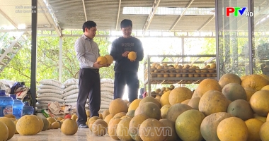 Câu chuyện khởi nghiệp