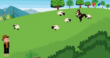 Câu chuyện tuổi thơ - Chú bé chăn cừu