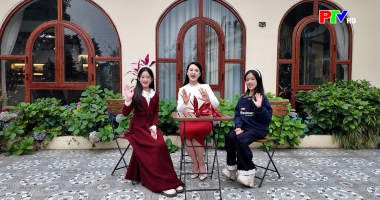 Câu hỏi vì sao - Chú ngựa vằn đáng yêu