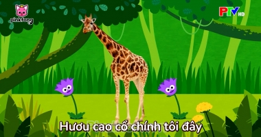 Câu hỏi vì sao - Tìm hiểu động vật ăn cỏ