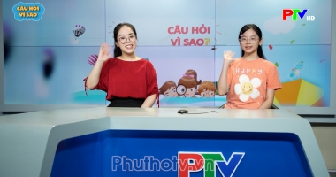 Câu hỏi vì sao - Tìm hiểu về các loài chim