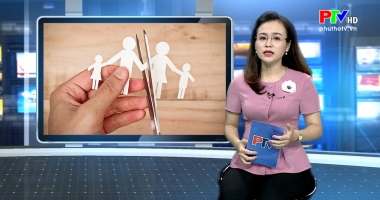 Chuyên đề: Nước mắt sau những lá đơn