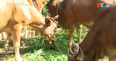 Chăm lo đời sống cho đoàn viên công đoàn